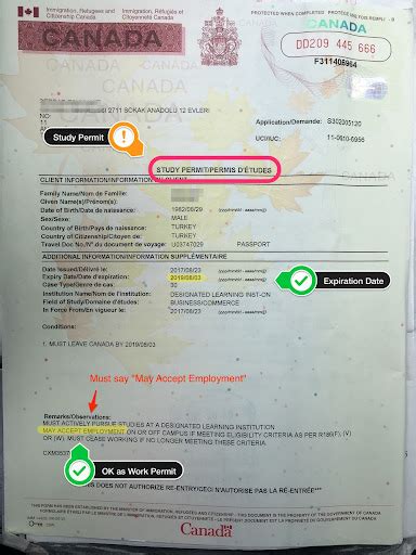 tndl meaning|Alberta Driver Information .